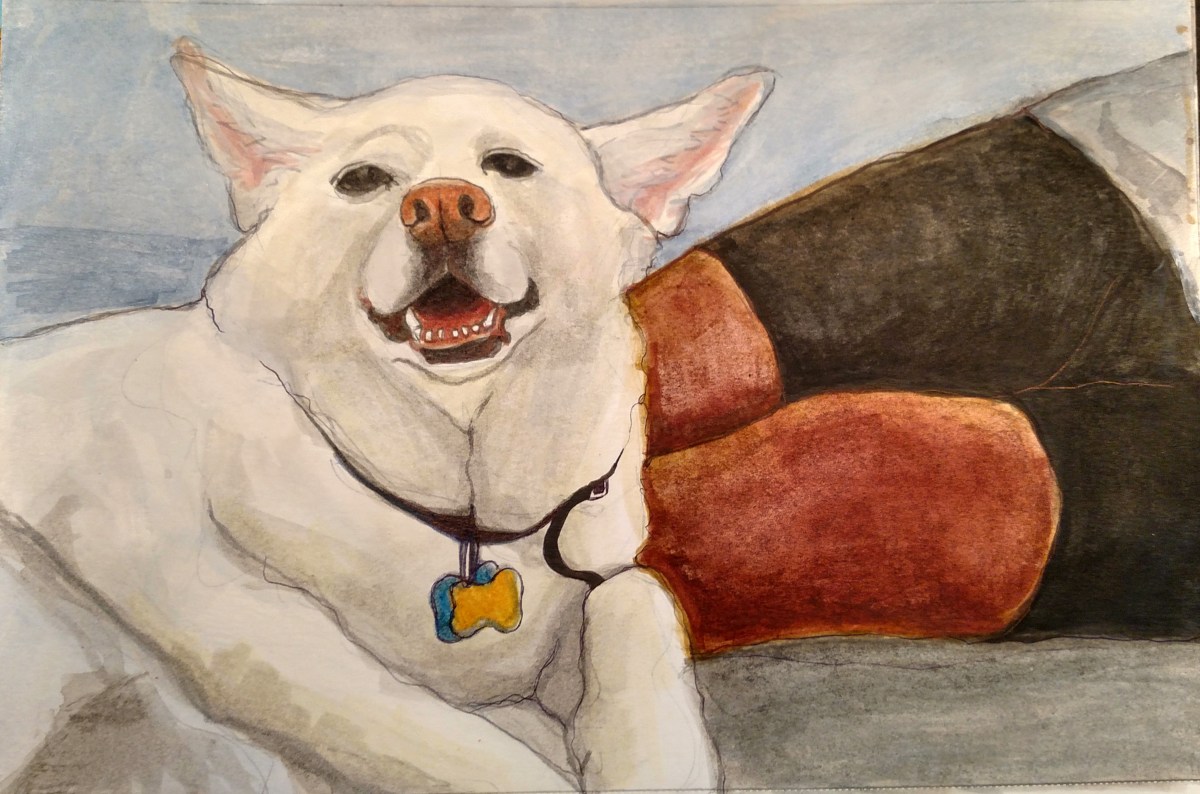 illustration of an American eskimo dog and a man on the beach