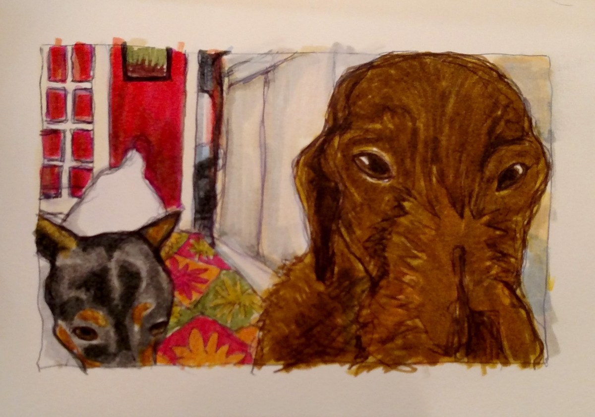 illustration of two dogs with their faces zoomed in