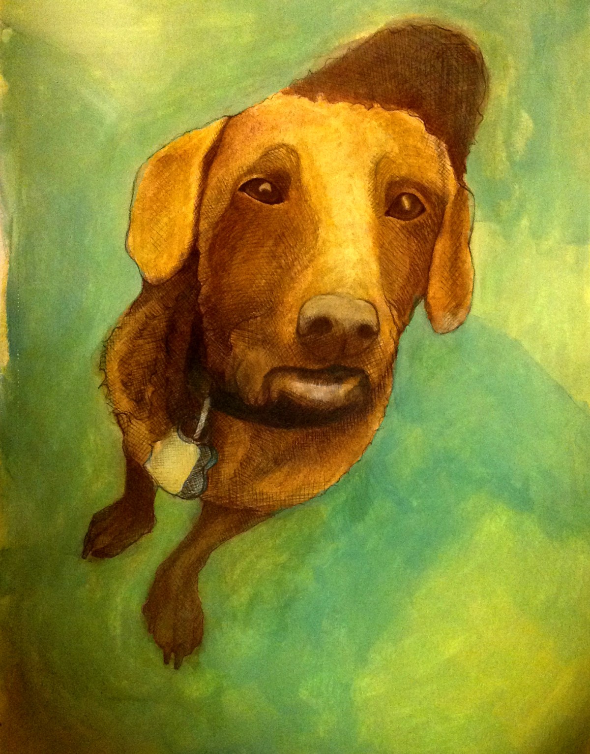 illustration of a dachshund mix